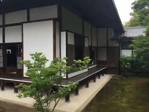 源光庵の本殿・本堂