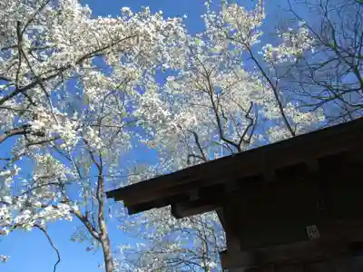 神明神社(千葉県)