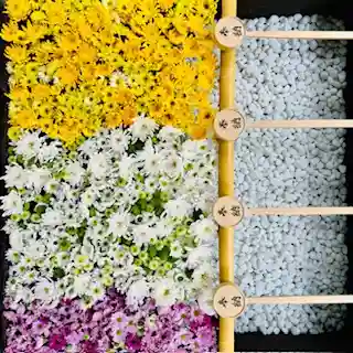 土津神社｜こどもと出世の神さま(福島県)