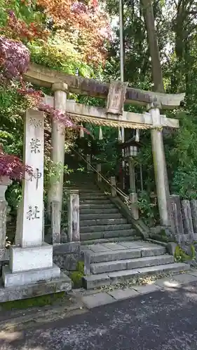 柴神社の鳥居