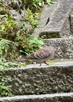 宝山寺(奈良県)