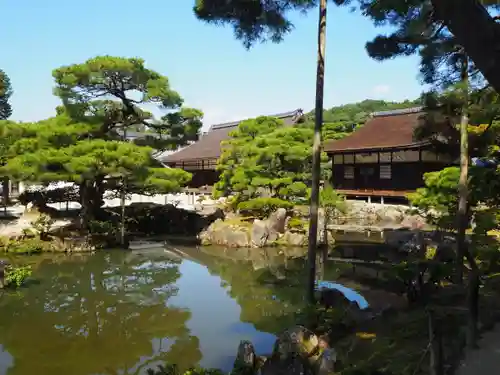 慈照寺（慈照禅寺・銀閣寺）の庭園