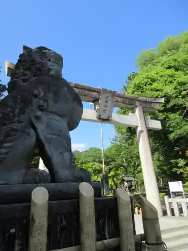 武田神社の狛犬