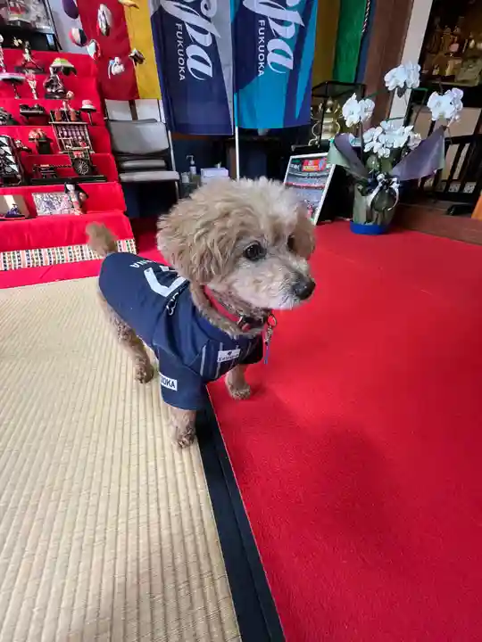 聖光寺の本殿・本堂