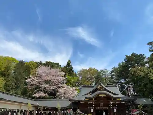 進雄神社のその他建物
