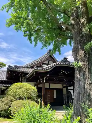 妙興報恩禅寺（妙興寺）のその他建物