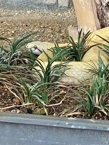 岩国白蛇神社(山口県)