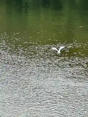 伊勢神宮内宮（皇大神宮）(三重県)