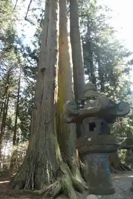 北口本宮冨士浅間神社(山梨県)