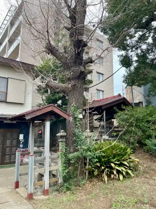 向陵稲荷神社の{uncategorized: "未分類", other: "その他", undefined: "問題あり", building: "その他建物", grave: "お墓", sacred_gate: "鳥居", guardian: "狛犬", statue: "像", buddha: "仏像", history: "歴史", nature: "自然", garden: "庭園", animal: "動物", pagoda: "塔", temizu: "手水舎", mountain_gate: "山門・神門", sanctuary: "本殿・本堂", subordinate: "末社・摂社", art: "芸術", scenery: "景色", jizo: "地蔵", ema: "絵馬", goshuin: "御朱印", omikuji: "おみくじ", items: "授与品その他", amulet: "お守り", goshuincho: "御朱印帳", eats: "食事", festival: "お祭り", votive_dance: "神楽", shichigosan: "七五三参", wedding: "結婚式", experience: "体験その他", initially: "初詣", around: "周辺", anti_infection: "感染症対策"}
