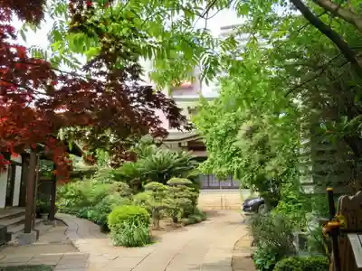 妙安寺のその他建物