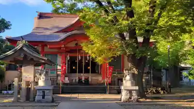 戸部杉山神社の本殿・本堂