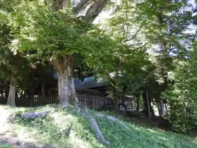 諏訪大社上社前宮(長野県)