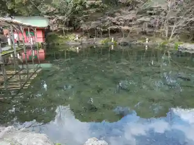 富士山本宮浅間大社(静岡県)