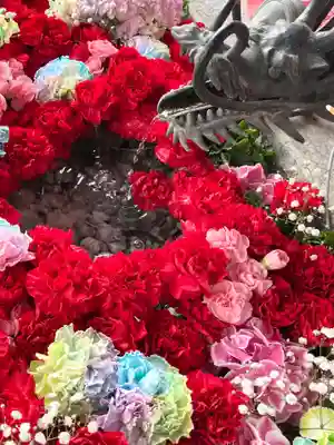 札幌諏訪神社の手水舎