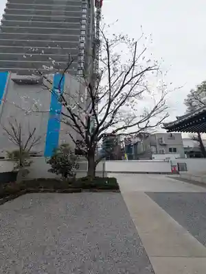 観音寺(東京都)