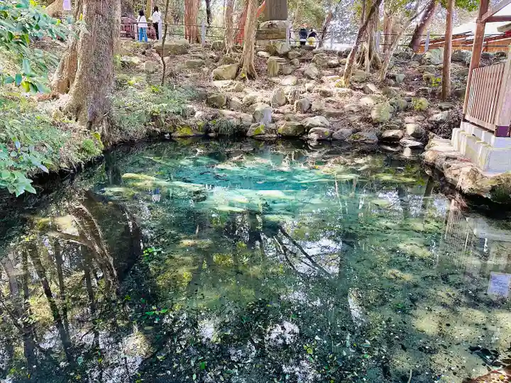 泉神社(茨城県)