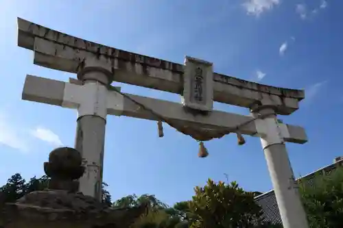 豊景神社の鳥居