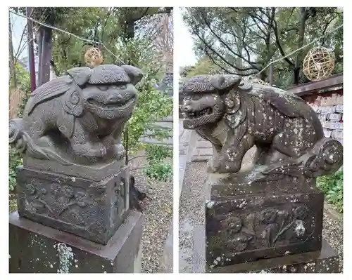 菊田神社の狛犬