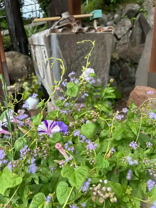 水神社(神奈川県)