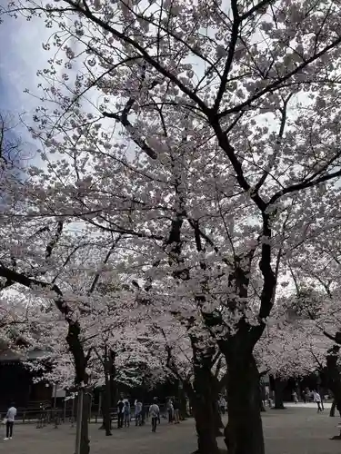 靖國神社の庭園