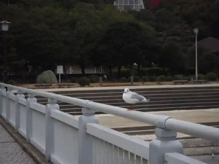 八百富神社の動物