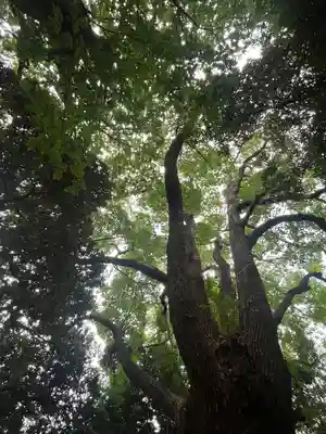玉川神社(東京都)