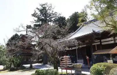 海住山寺の本殿・本堂