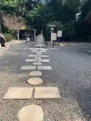 櫻木神社の体験その他