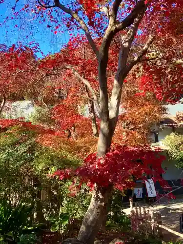 本土寺(千葉県)