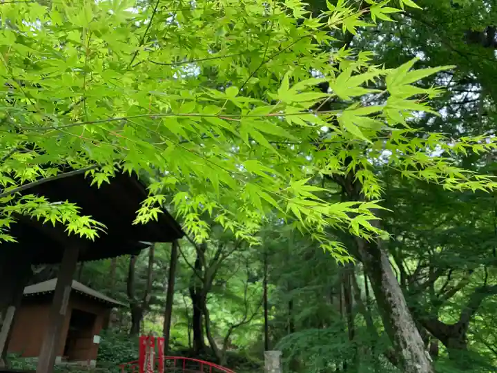普門寺(切り絵御朱印発祥の寺)の自然