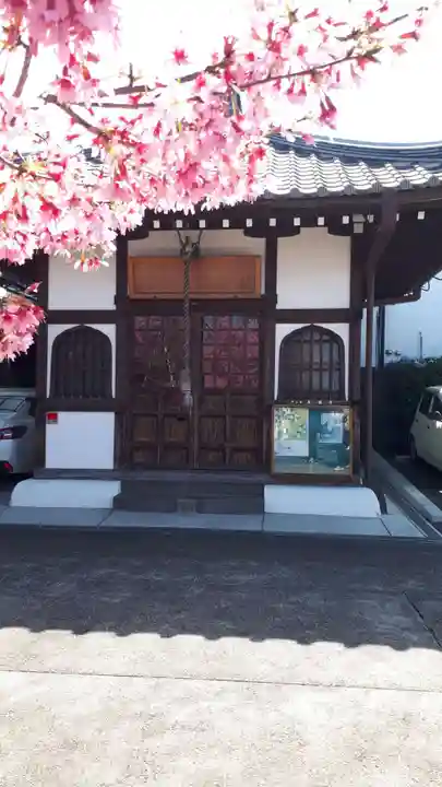 長徳寺(京都府)