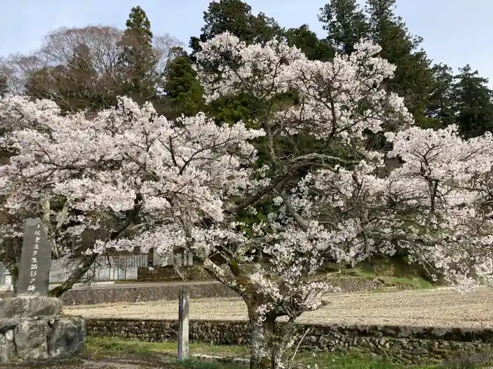 久万山総鎮守 三島神社の自然