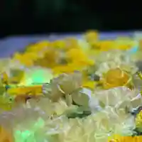 札幌諏訪神社の手水舎