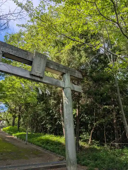 國分八幡宮(香川県)