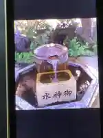 題経寺(柴又帝釈天)(東京都)