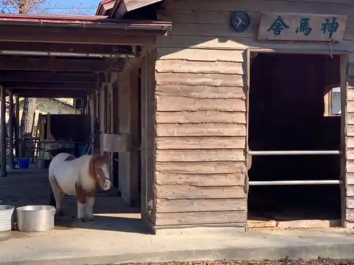 小室浅間神社の動物