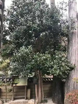 法起院(奈良県)