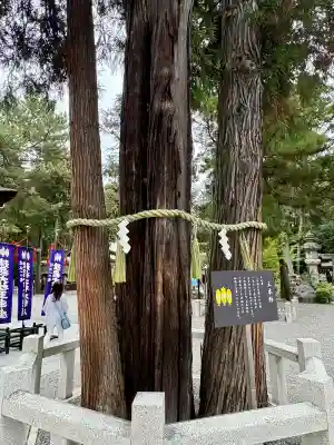 建部大社(滋賀県)