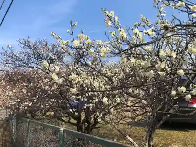 御厨神社(兵庫県)