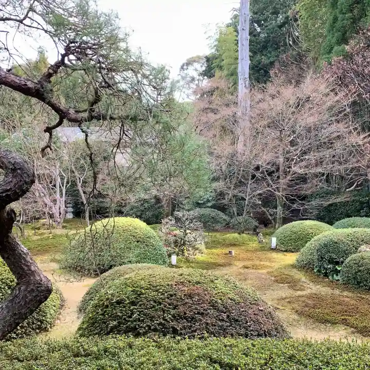 雲龍院(京都府)