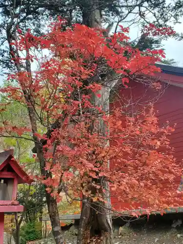 赤城神社の景色