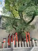 末廣大明神・白龍大神(大阪府)