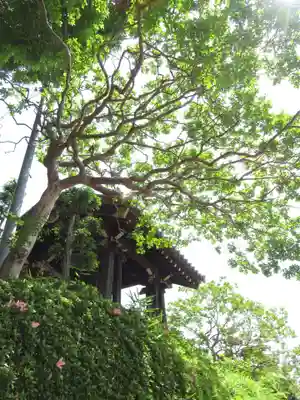 威徳院(千葉県)