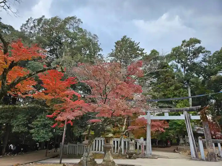 手向山八幡宮(奈良県)