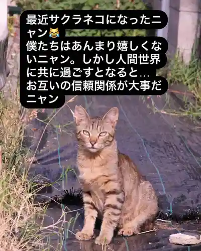 専念寺(大阪府)