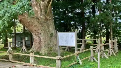 光清寺(山形県)