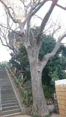 検見川神社のその他建物