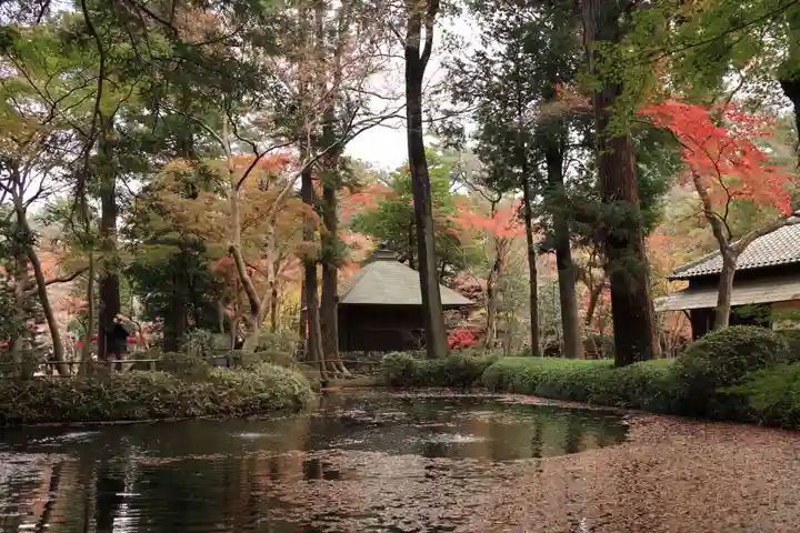 平林寺(埼玉県)