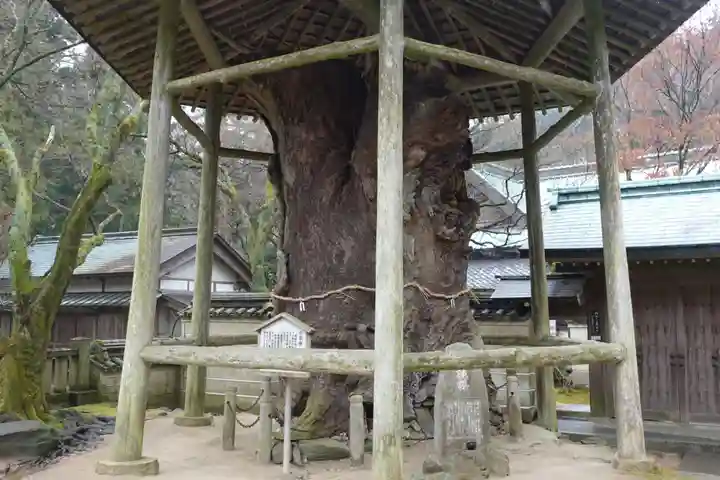 根香寺(香川県)